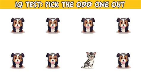 the odd one out|funny odd one out quiz.